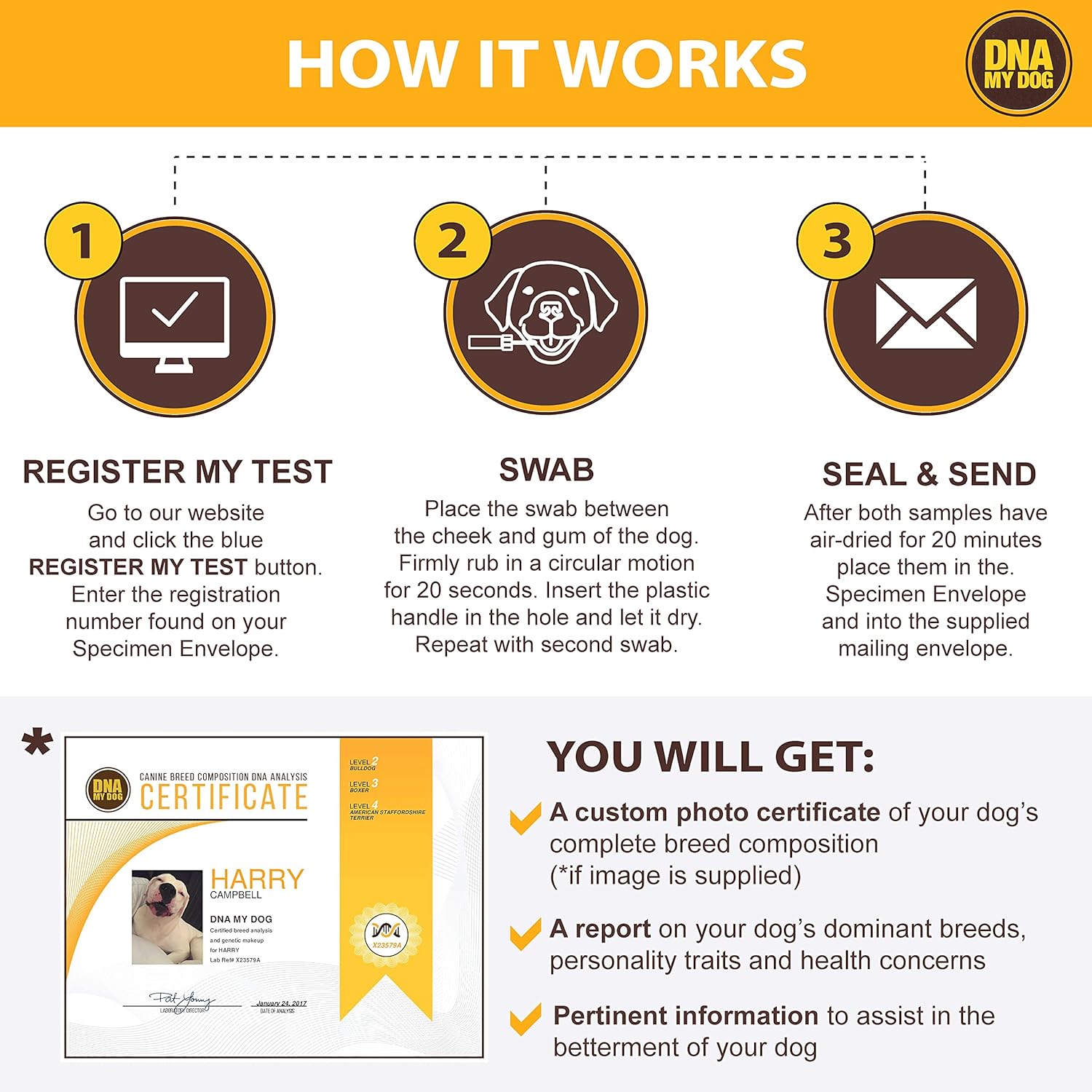 Canine Breed Identification Test J990431