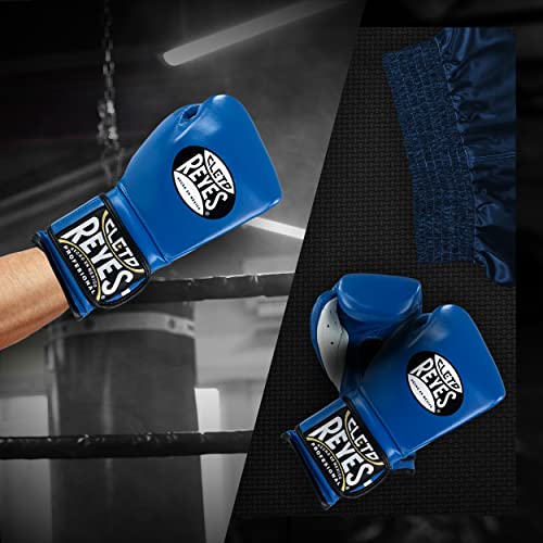 Training Boxing Gloves with Hook and Loop Closure S3796