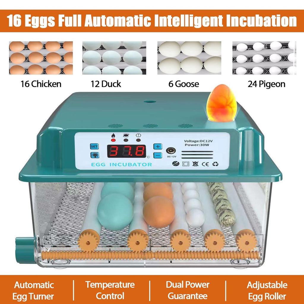 16 Eggs Incubator with Automatic Egg Turning, Temperature Humidity Control, LED Candler, Adjustable Egg Tray Y143