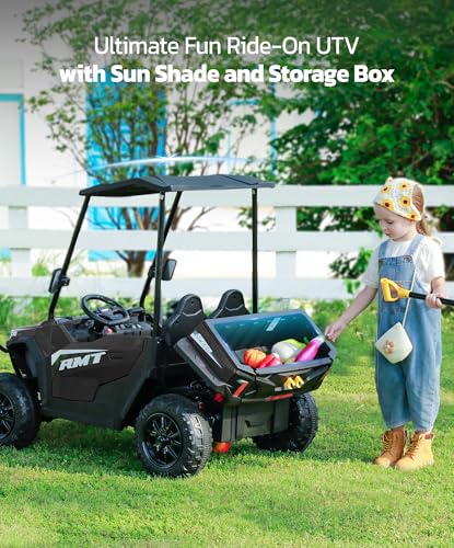 Pink 24V 2 Seater Electric Ride on Car with Remote P50071
