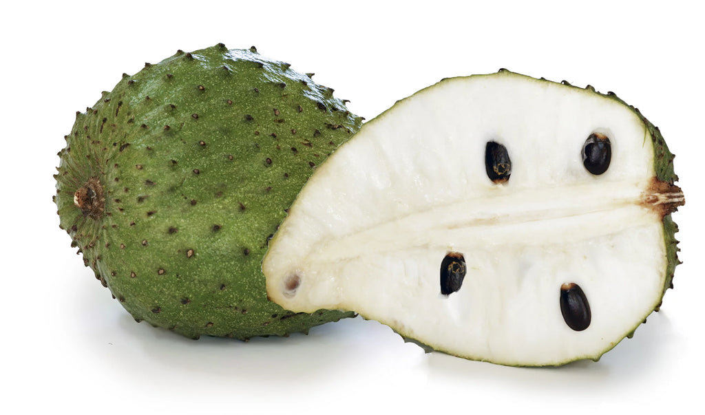 1 Gallon Pot Live Soursop Tree U41086