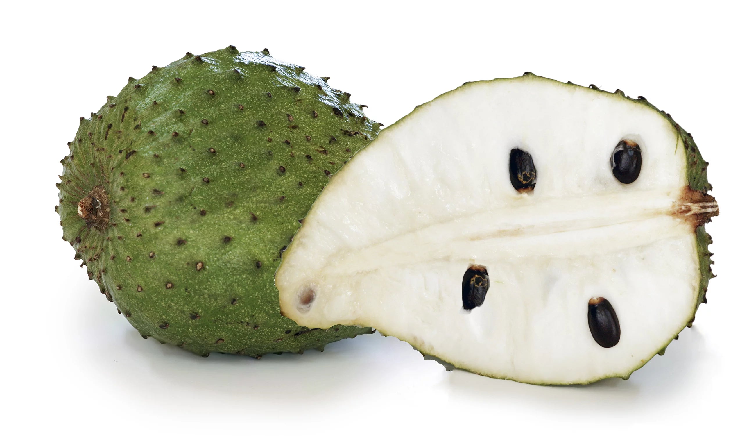 1 Gallon Pot Live Soursop Tree U41086