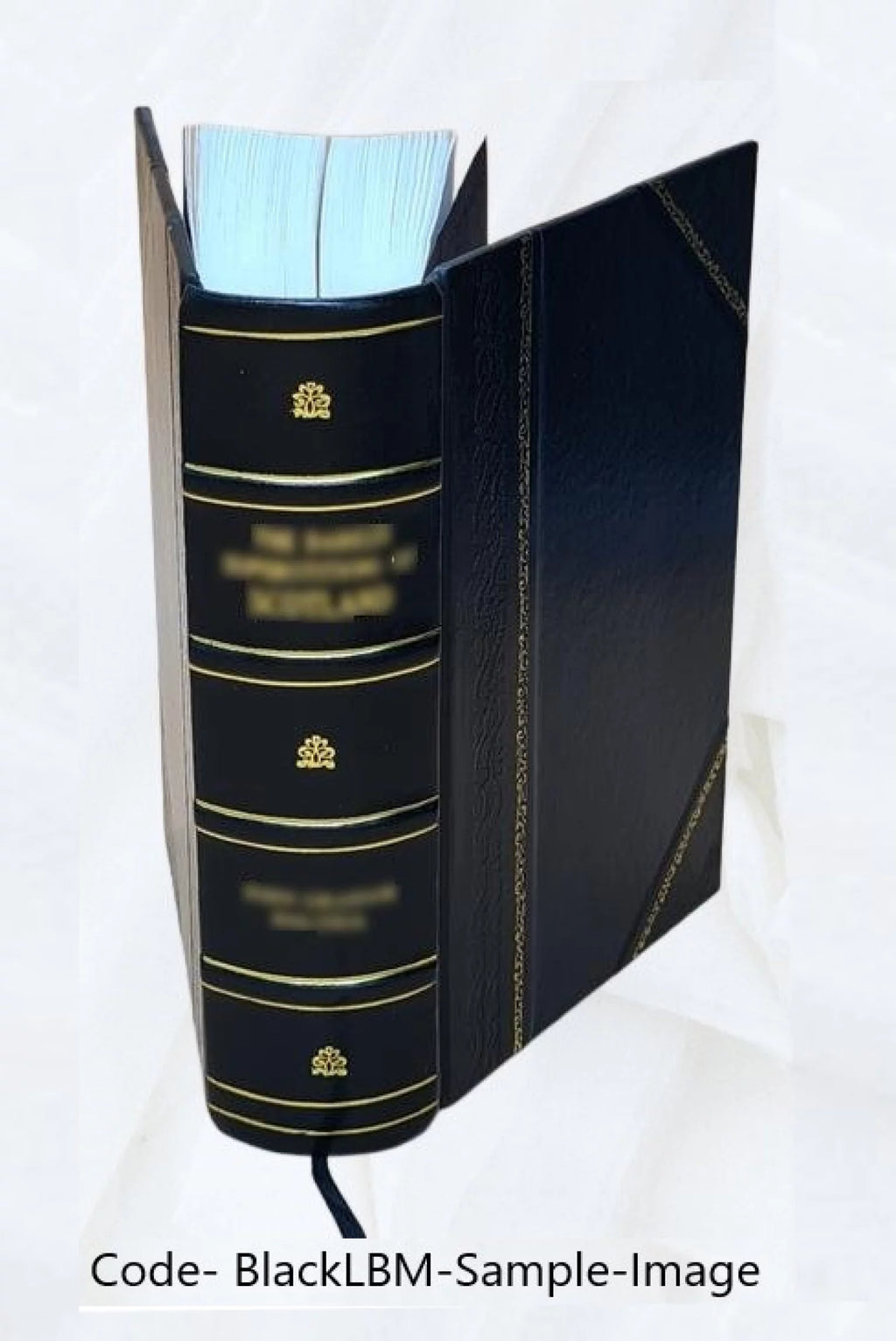 Leather Bound Dictionary W32905