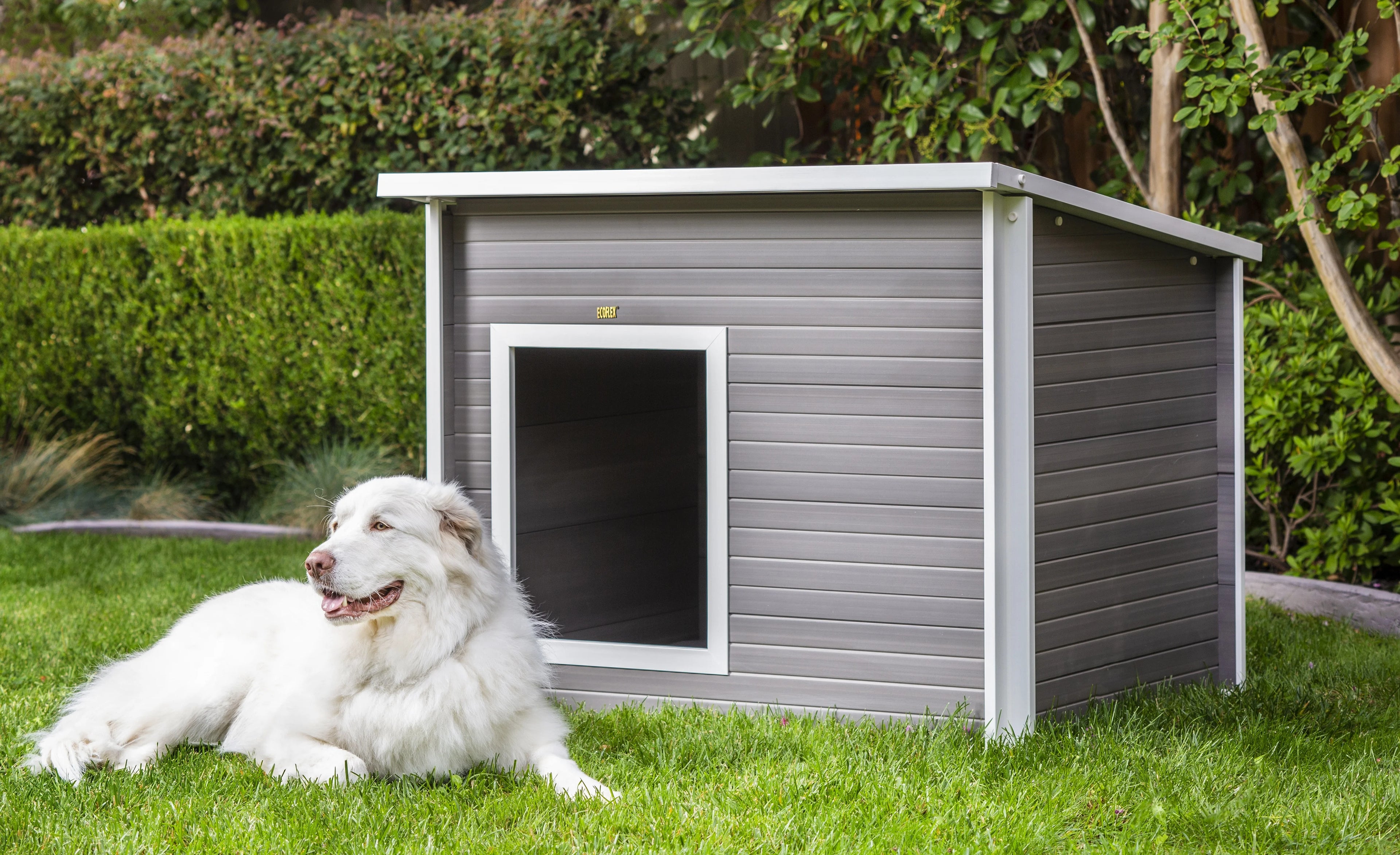 Gray Jumbo Dog House Z54190
