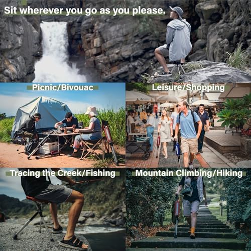 Portable Walking Stick Cane with Seat Foldable Chair Lightweight Aluminum V625571