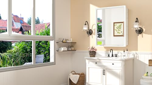 Silver 16x24 1 Door Recessed Medicine Cabinet with Mirror L657