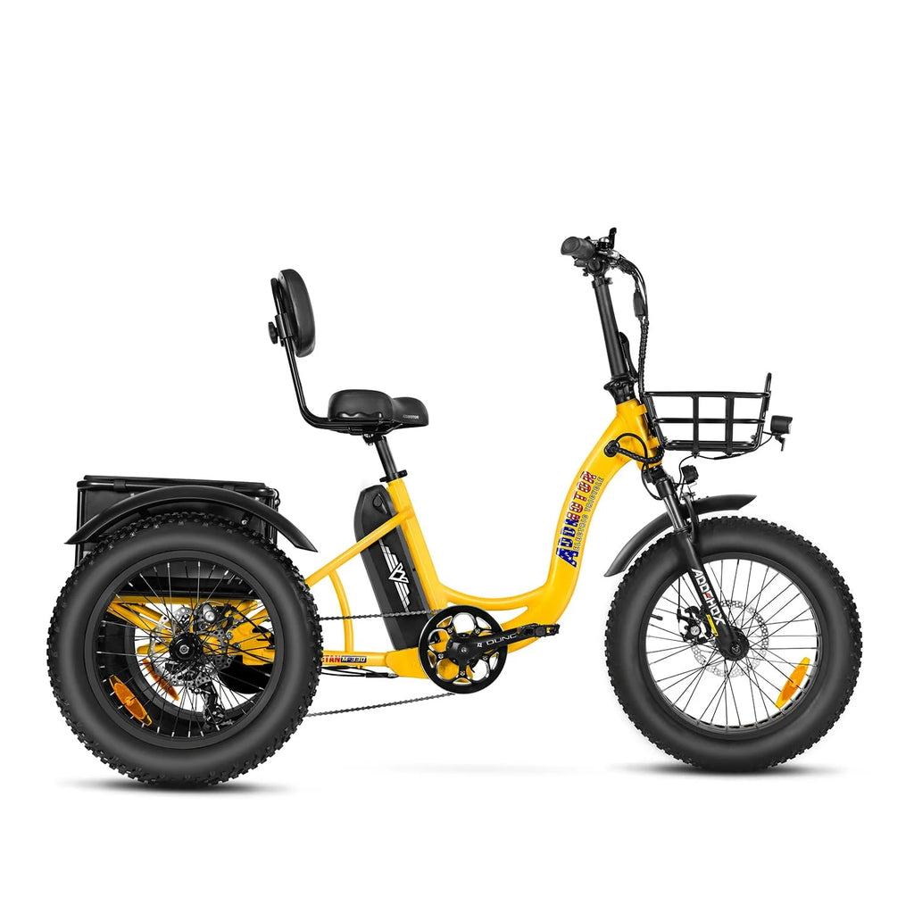 Black 750W 48V 20Ah Electric Tricycle C2132