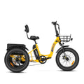 Black 750W 48V 20Ah Electric Tricycle C2132