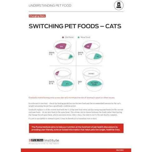 Kitten Dry Food J1699