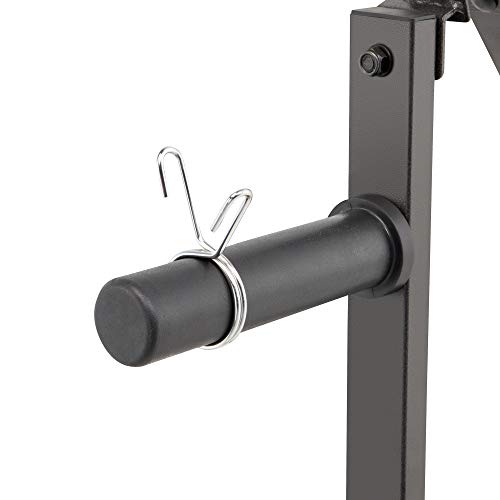 Olympic Weight Plate Tree Weight Storage Rack Q859