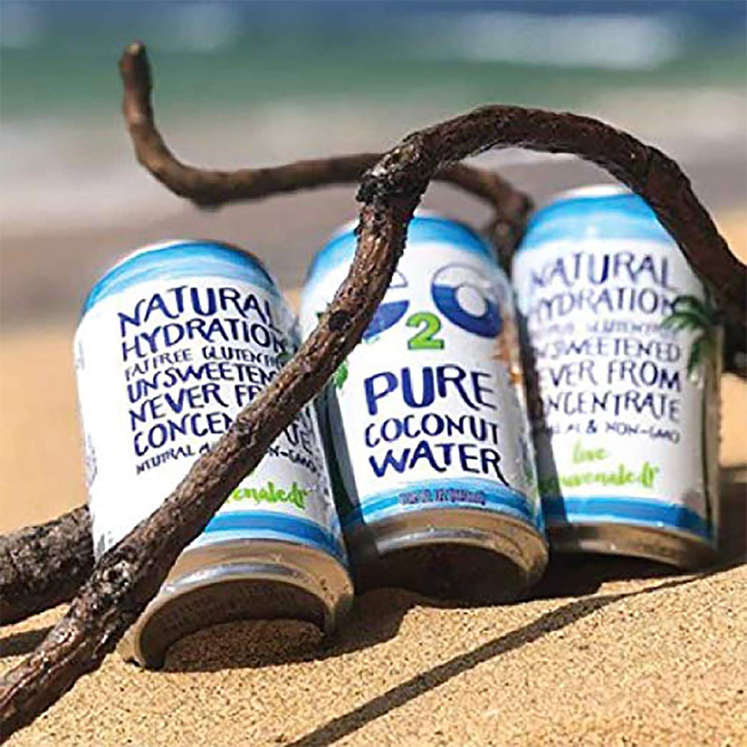 10.5 Fl Oz Pack of 24 Pure Coconut Water V2595