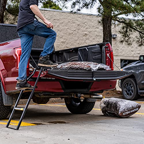 Black Tailgate Ladder Q7918
