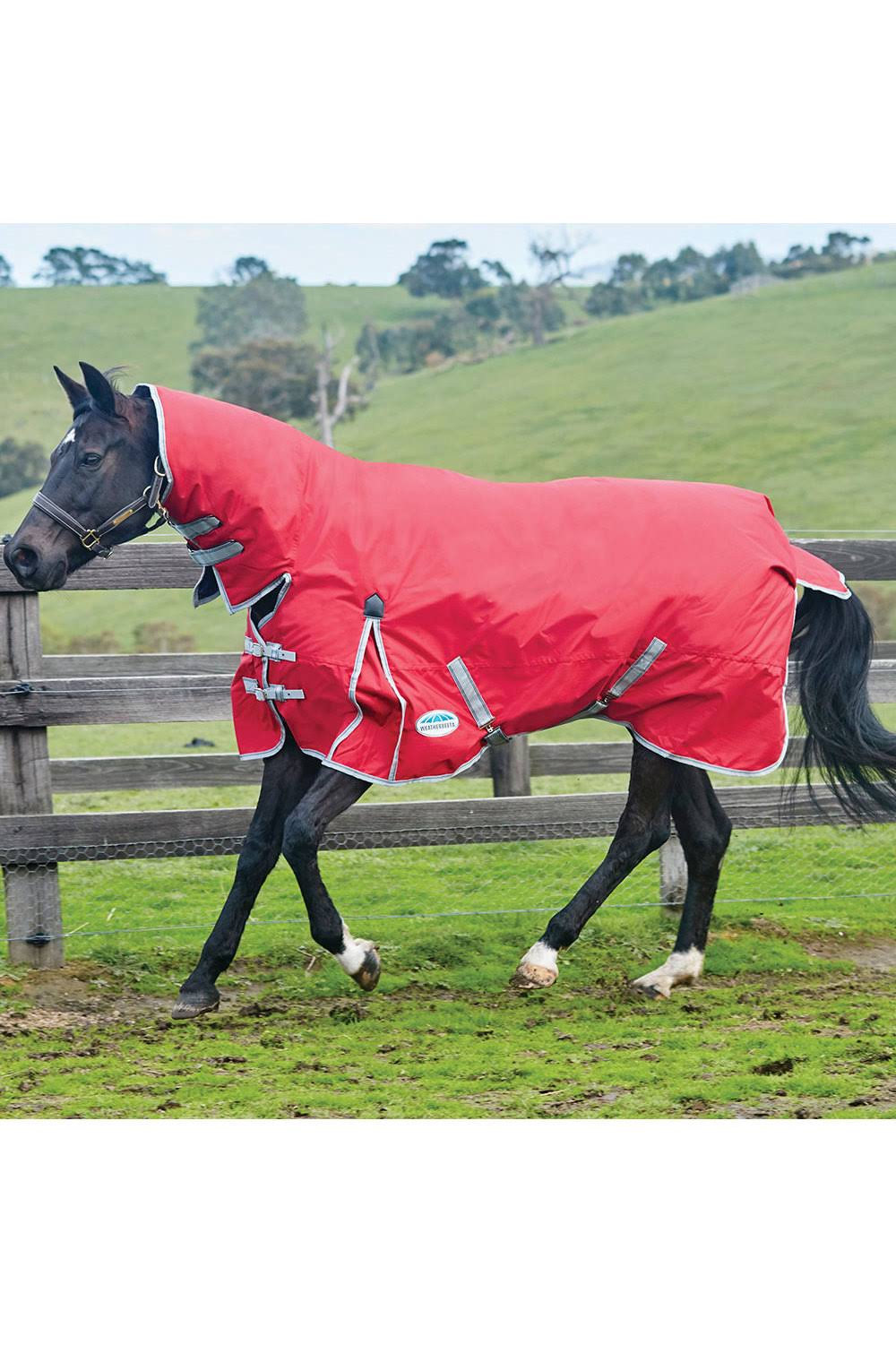 Red/Silver/Navy Combo Neck Lite W78029