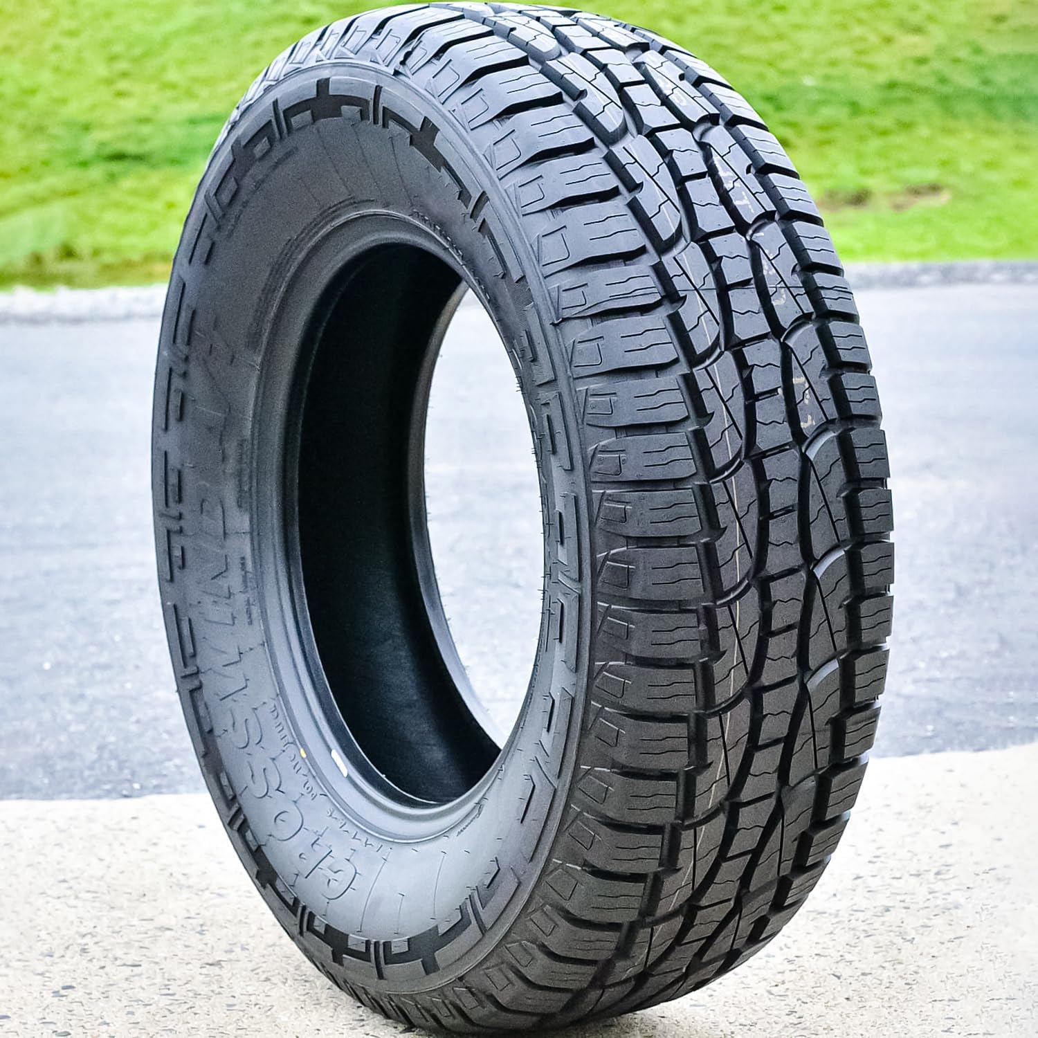 31/10.50R15 109R All-Season Radial Tire D3941