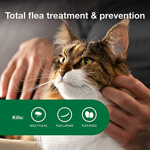 12-Month Supply Flea Treatment for Cats Over 9 lbs. Y270