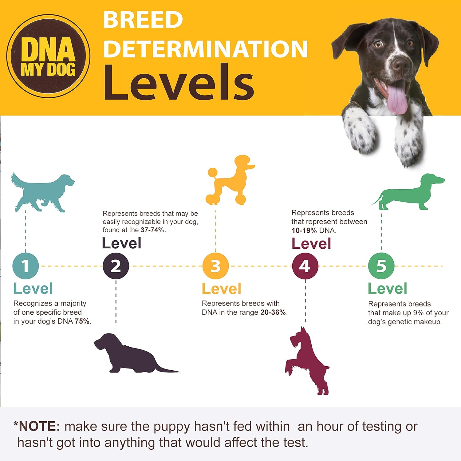 Canine Breed Identification Test J990431