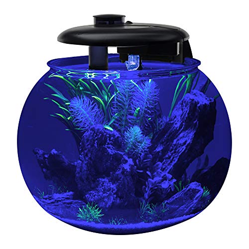 Large Bowl-Shaped Aquarium with LED Light Display M6753