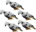 5 Pcs 3D Foam Archery Bird Target V2041