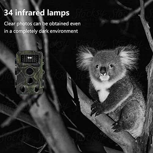 36MP 1080P Mini Trail Camera 2 Pack with 32GB Card X78086