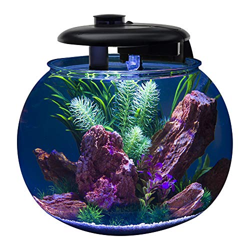 Large Bowl-Shaped Aquarium with LED Light Display M6753