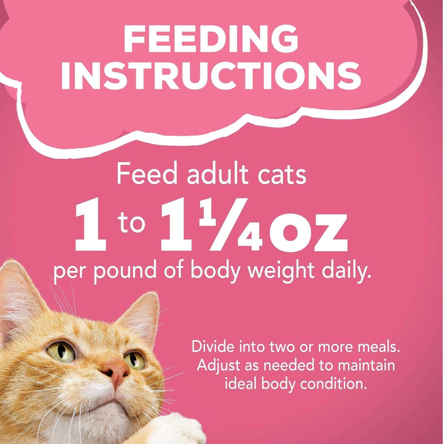 Surfin & Turfin' Wet Cat Food O51901