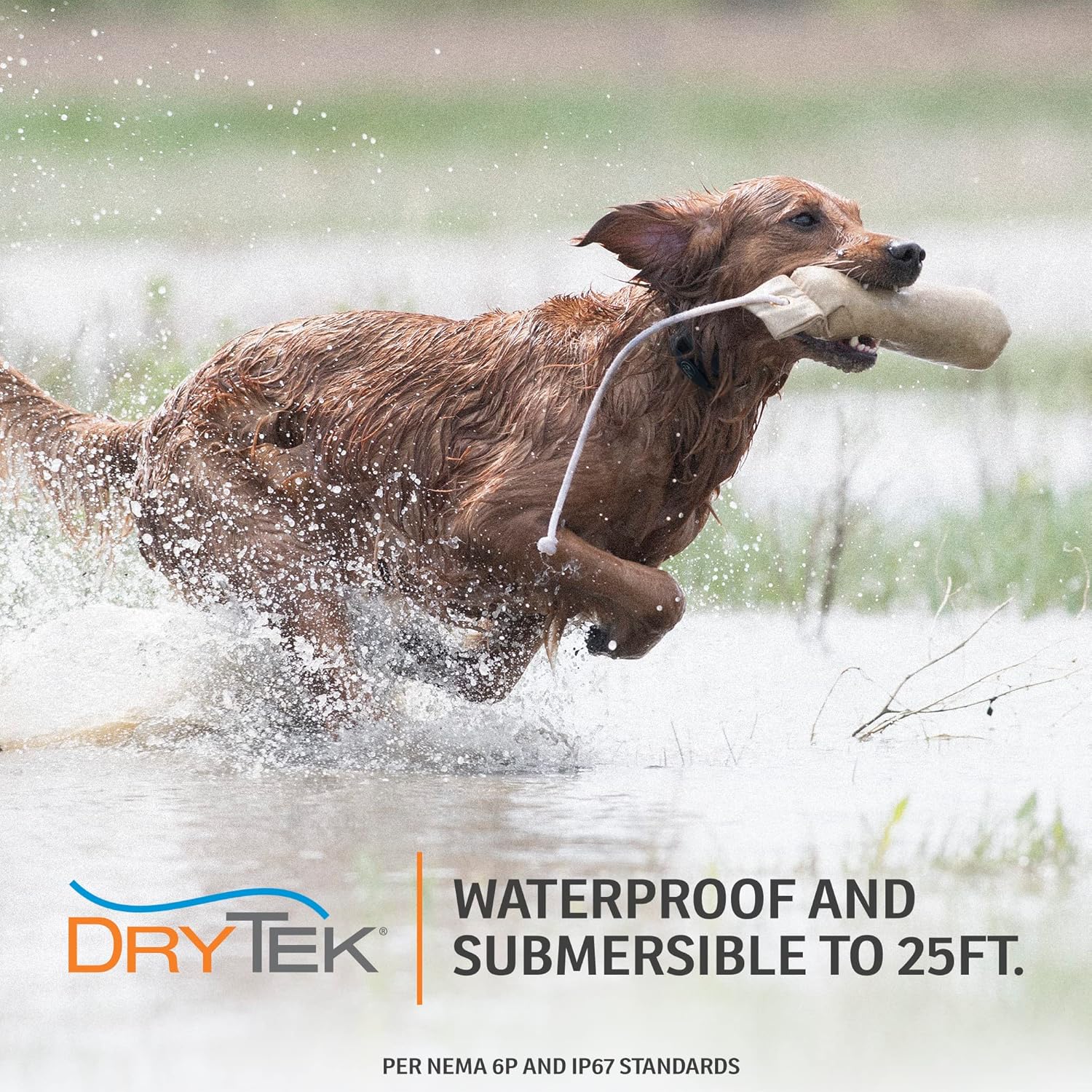 Rechargeable Waterproof Bark Collar for Dogs 8 lbs & up O38540