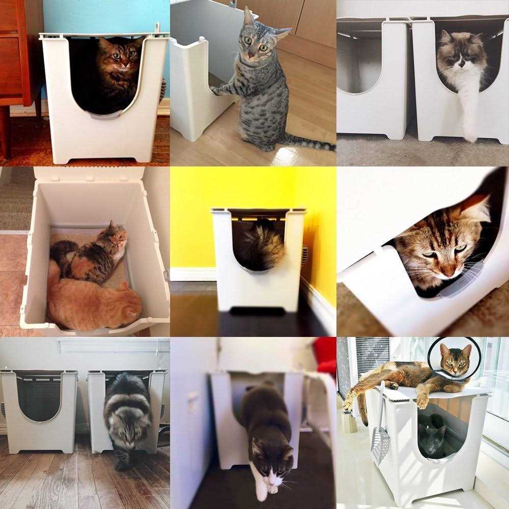 Flip Litter Box with Scoop and Reusable Liner Y40661