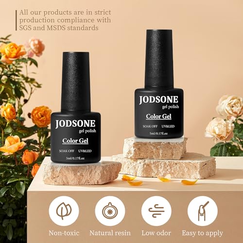 10 Colors Gel Nail Polish Kit with Mini UV LED Nail Lamp Base Coat Top Coat Set D29732