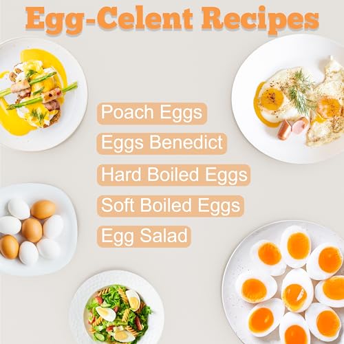 12 Egg Capacity Electric Egg Cooker A14661
