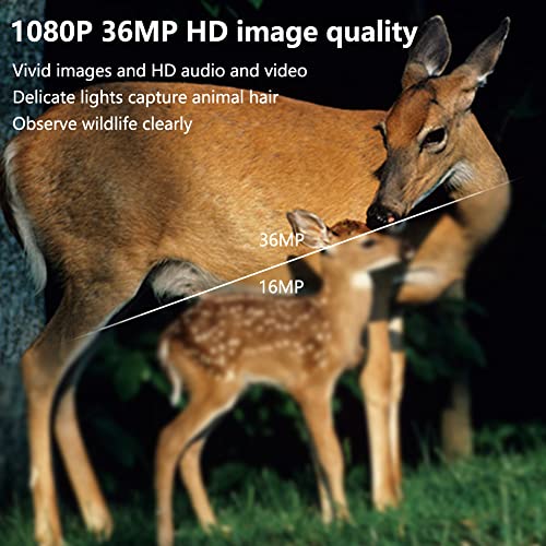 36MP 1080P Mini Trail Camera 2 Pack with 32GB Card X78086