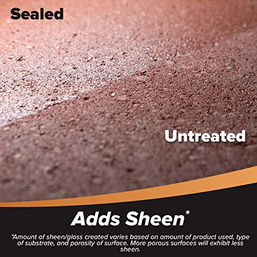 Clear Water-Based Patio Paver Sealer, 1 gal W5389