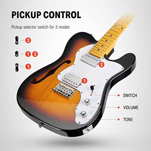 39 Inch Full Size Hollow Electric Guitar with H-H Pickups N264