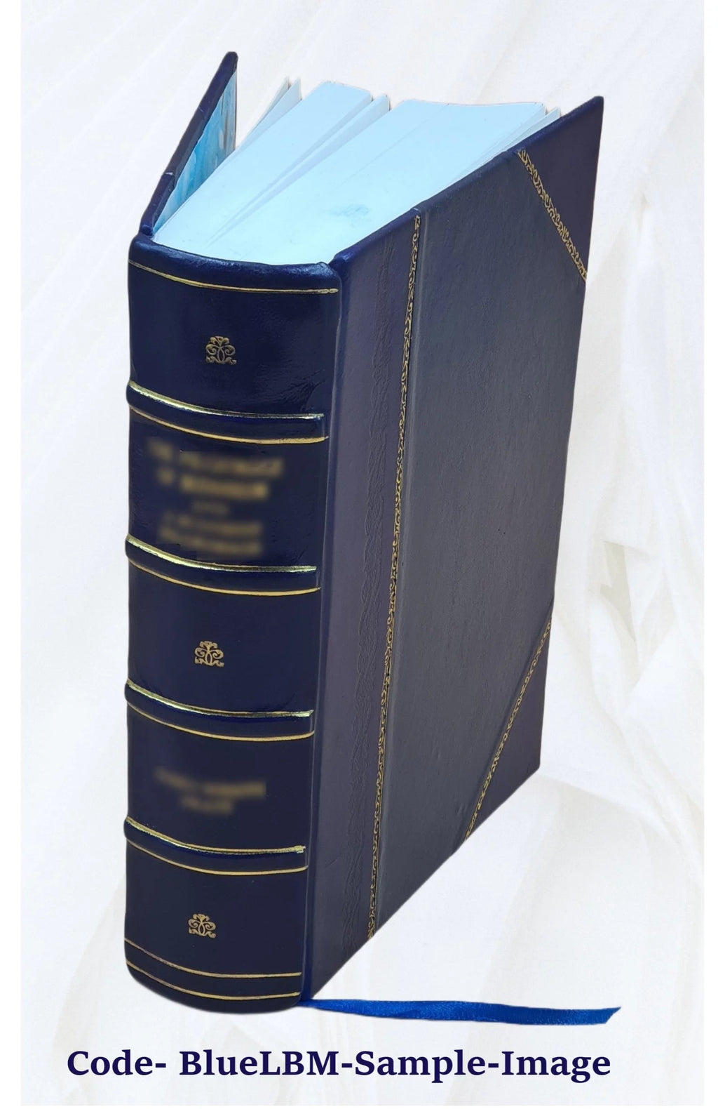 Leather Bound Dictionary W32905