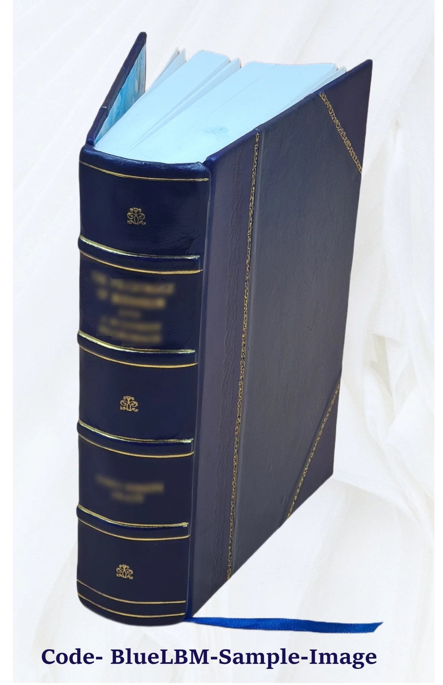 Leather Bound Dictionary W32905