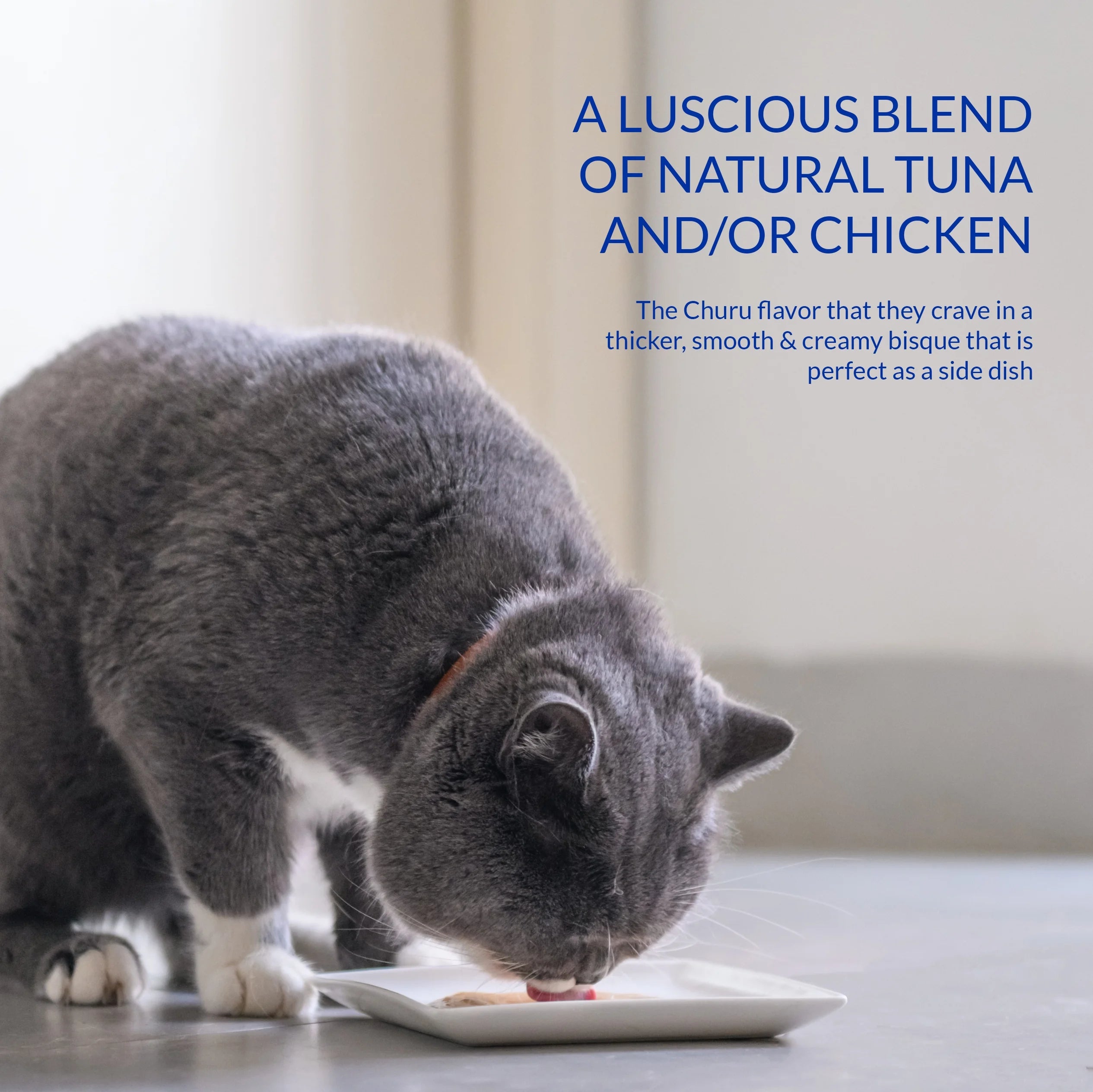 Chicken Cat Treat, 1.4 oz, 12 Servings U39716