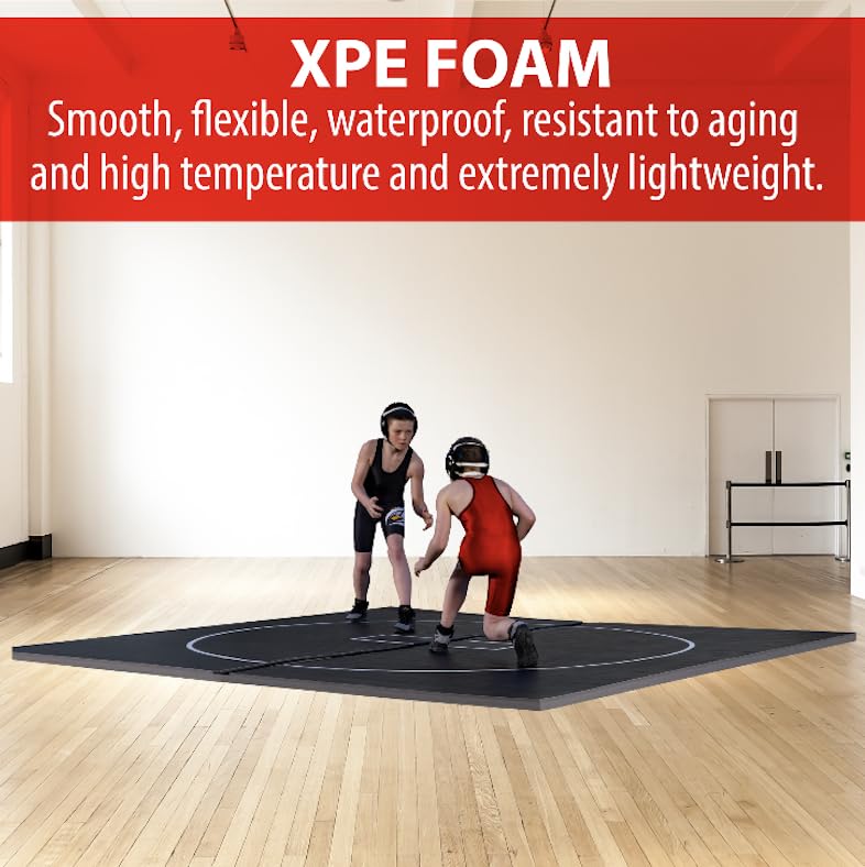 10' x 10' Wrestling Mat F19843