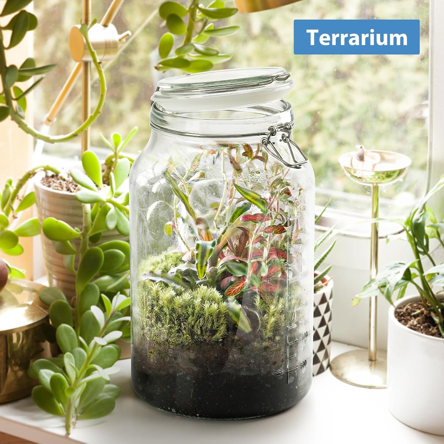 2 Pack 1 Gallon Glass Storage Jars with Airtight Lids T734765