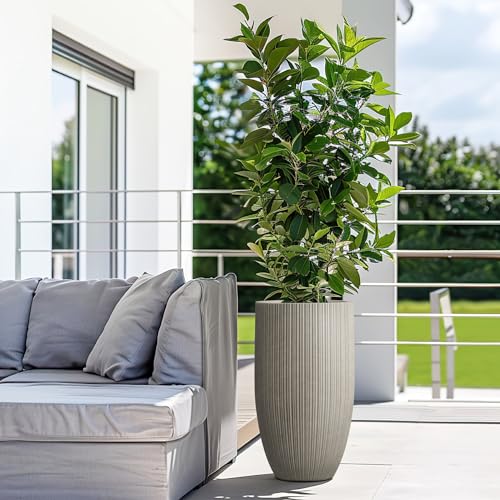 24 Inch Tall Concrete Planter with Drainage Hole L3890