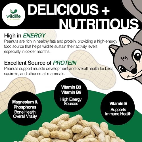 Raw in-Shell Peanuts 25lb B7075