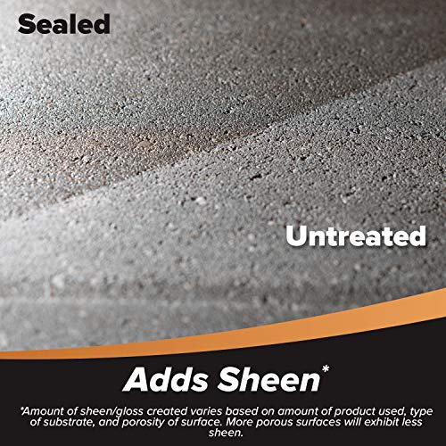 Clear Water-Based Patio Paver Sealer, 1 gal W5389