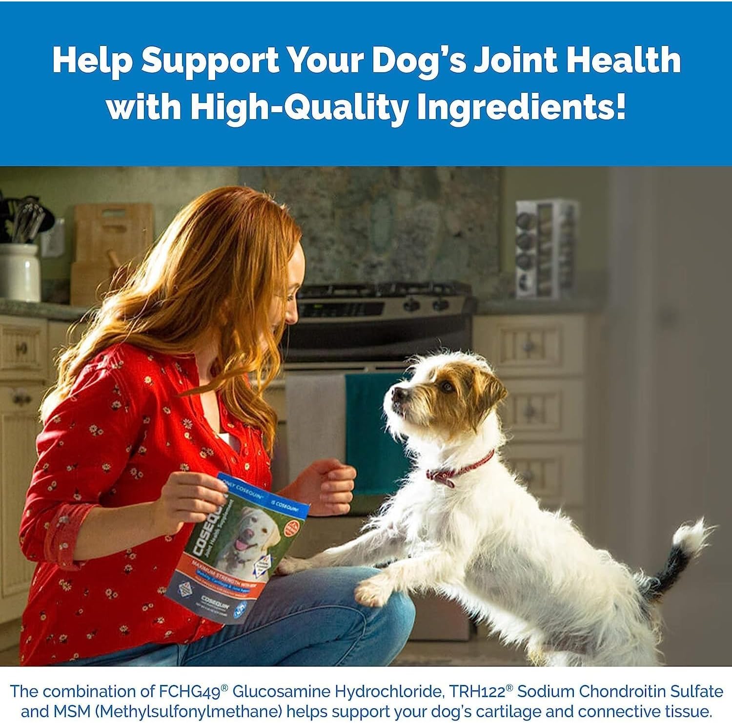 180 Chewable Tablets Joint Health Supplement for Dogs W9157