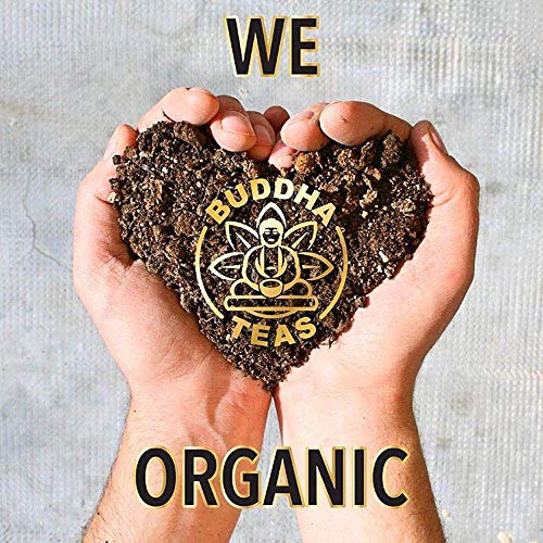 Organic Yerba Mate Tea, 18 Bleach-Free Tea Bag N9470