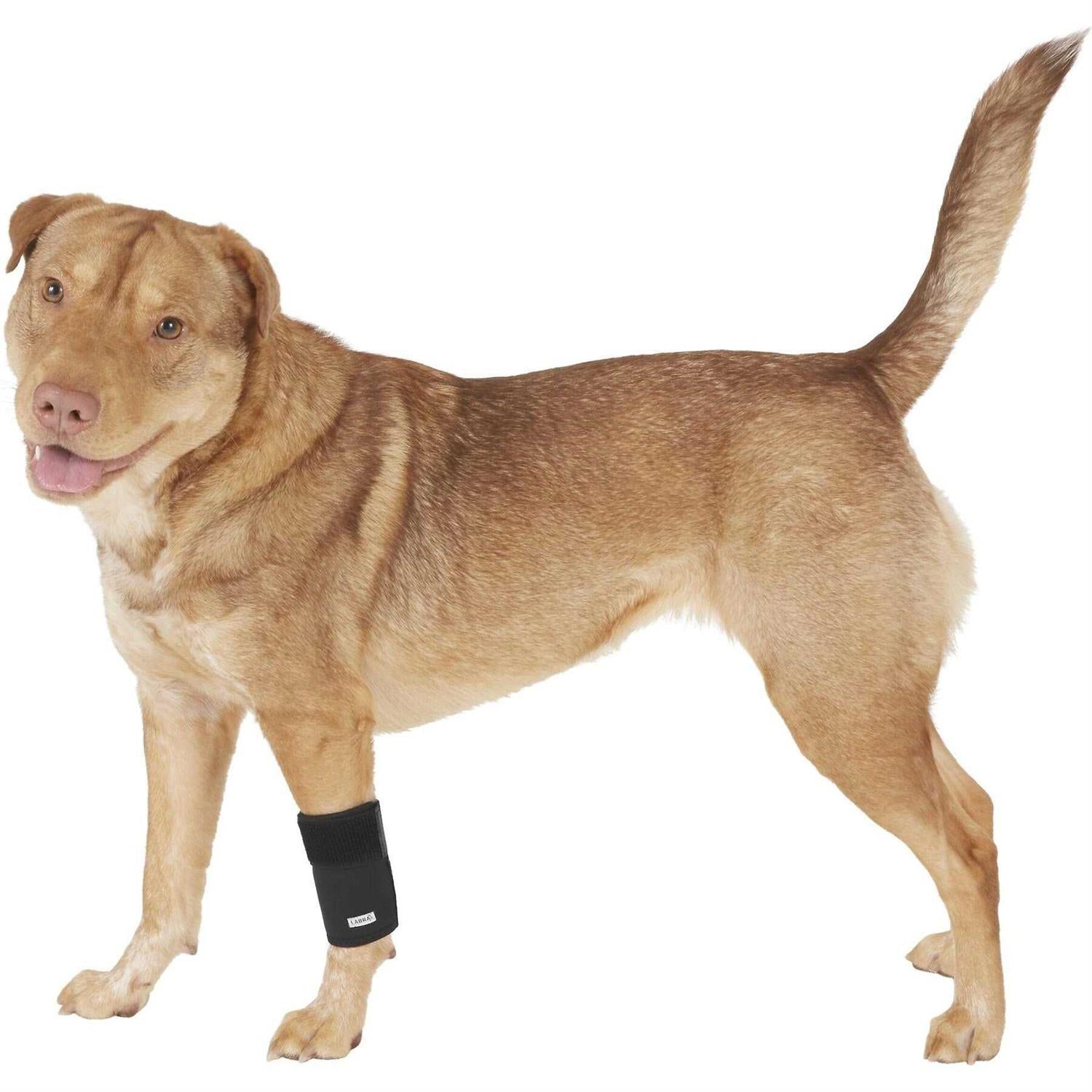 Dog Front Leg Compression Brace Wrap Sleeve A2019