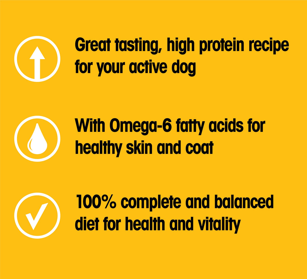 16 lb. Bag High Protein Dry Dog Food Beef and Lamb Flavor Kibble R8534