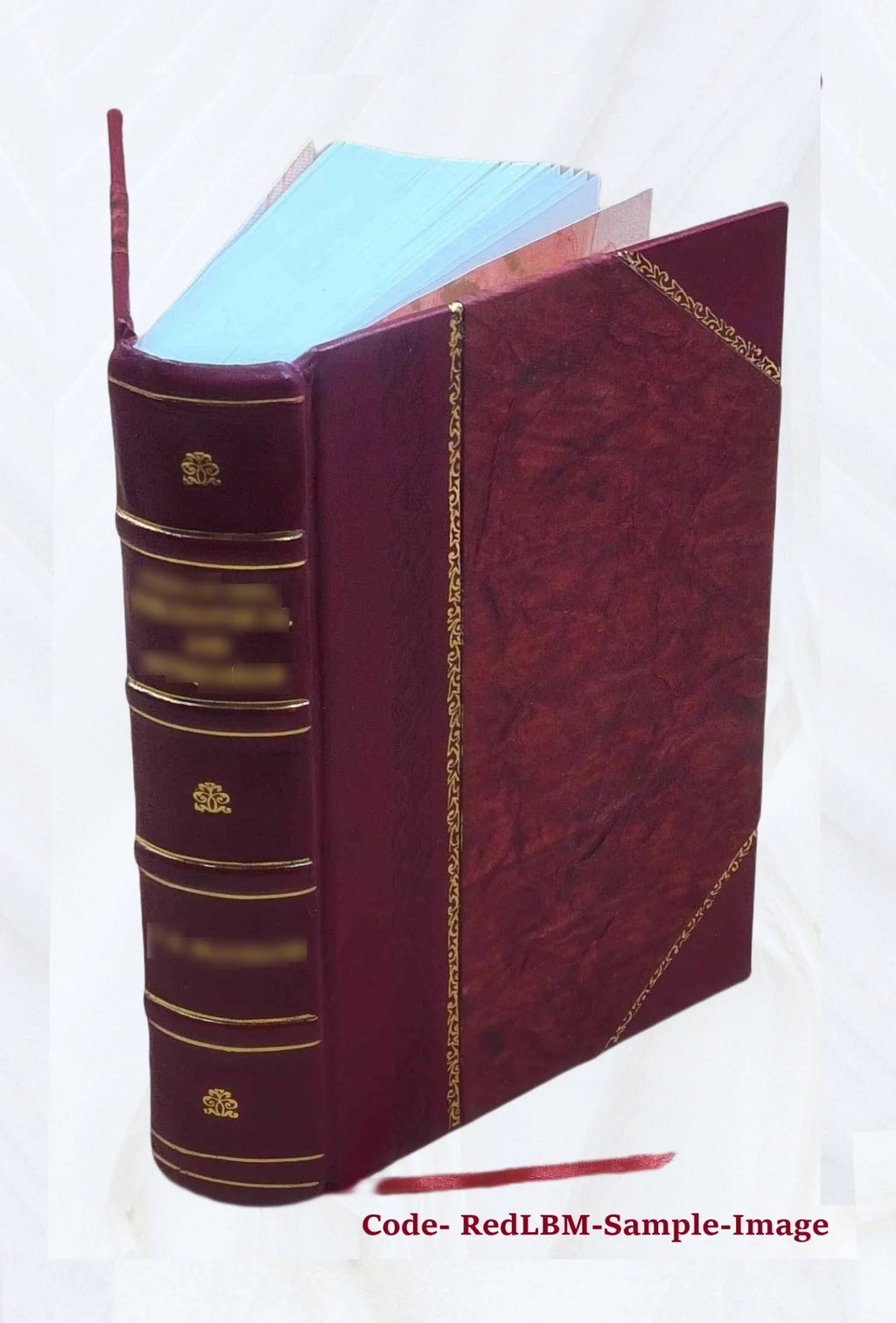 Leather Bound Dictionary W32905