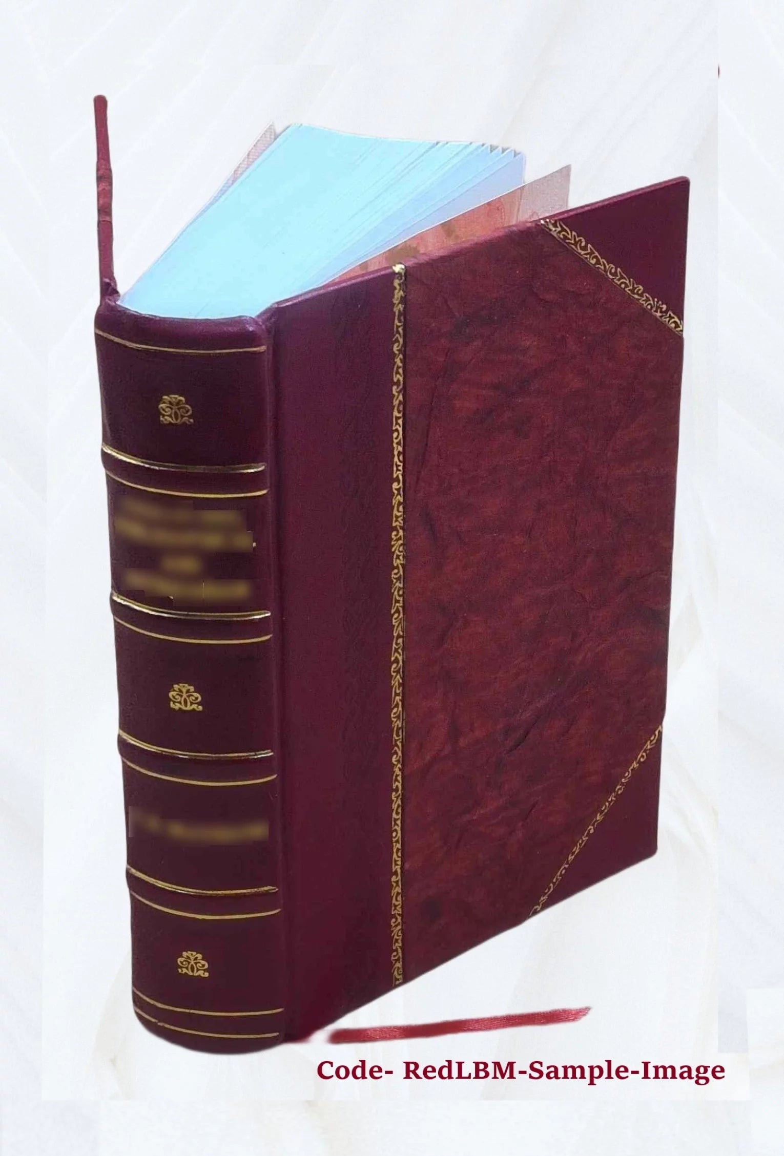 Leather Bound Dictionary W32905