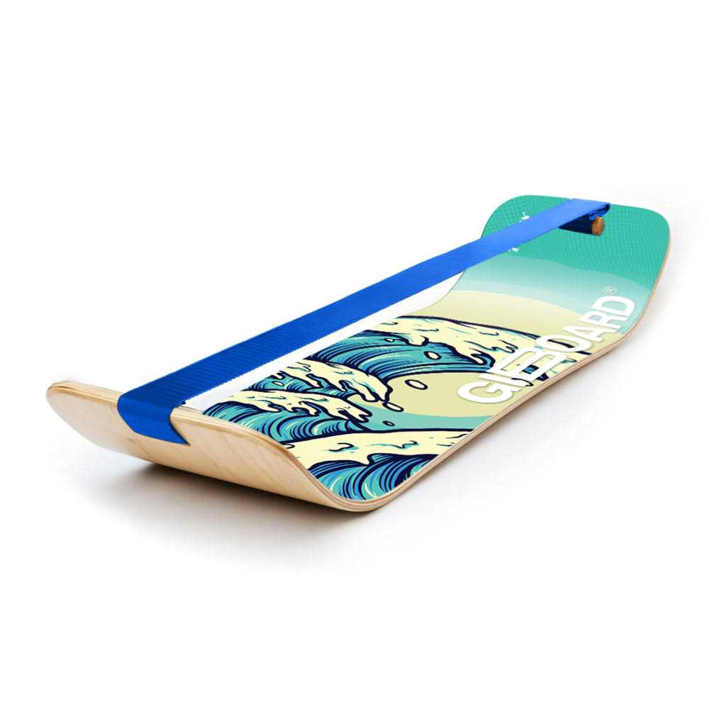 Balance Board R317061