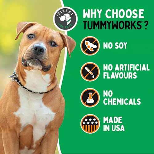 Probiotic 120 Soft Chews for Dogs L230675