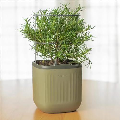 Sage Green Self-Watering Indoor Planter with Trellis T1876