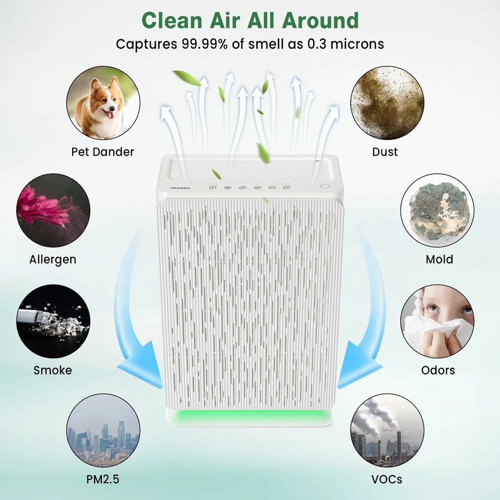 H13 True HEPA Air Purifier S1257